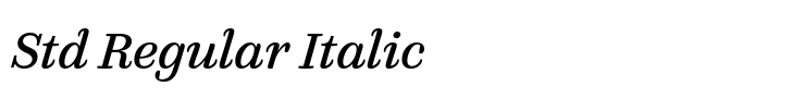 FF Quixo Std Regular Italic
