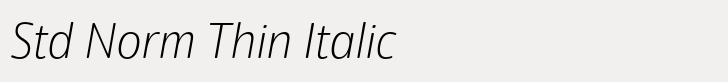 Eigerdals Std Norm Thin Italic
