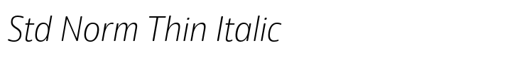 Eigerdals Std Norm Thin Italic