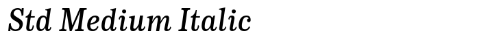 CA Normal Serif Std Medium Italic
