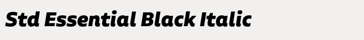 Aalto Sans Std Essential Black Italic