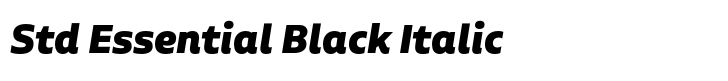 Aalto Sans Std Essential Black Italic