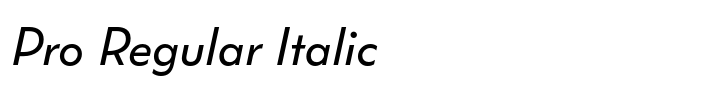 Wright Pro Regular Italic