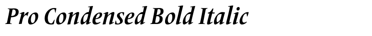 Frutiger Serif Pro Condensed Bold Italic