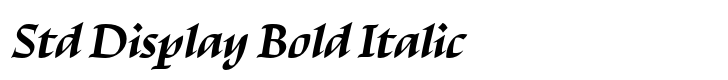 Escritura Std Display Bold Italic