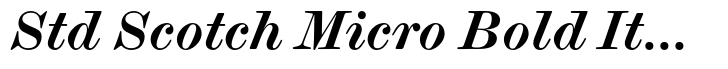 Scotch Modern Std Scotch Micro Bold Italic