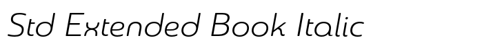 Sangli Std Extended Book Italic