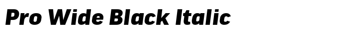 FF Good Headline Pro Wide Black Italic