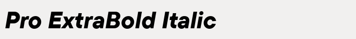 TT Commons Pro Pro ExtraBold Italic