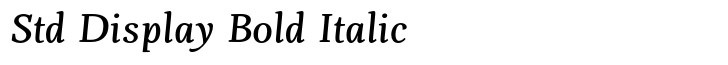 Fiesole Std Display Bold Italic