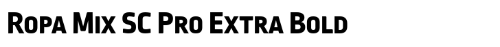 Ropa Mix SC Pro Extra Bold