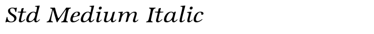 ITC Zapf International Std Medium Italic