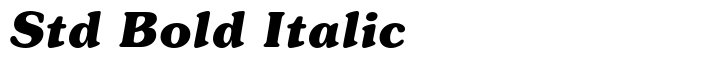 ITC Souvenir Std Bold Italic
