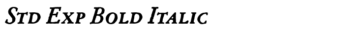 Archive Garamond Std Exp Bold Italic