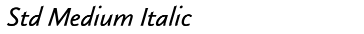 Klassika Std Medium Italic