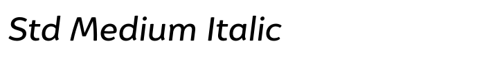 Igna Sans Std Medium Italic