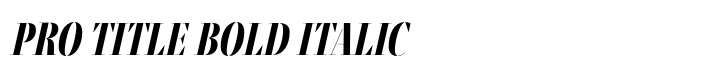 Fino Stencil Pro Title Bold Italic