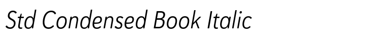 Haboro Soft Std Condensed Book Italic