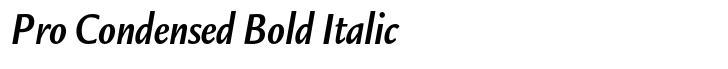 ITC Legacy Sans Pro Condensed Bold Italic