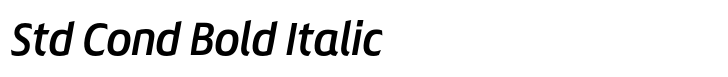 Chypre Std Cond Bold Italic