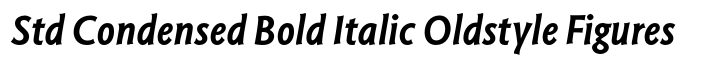 Magma Std Condensed Bold Italic Oldstyle Figures