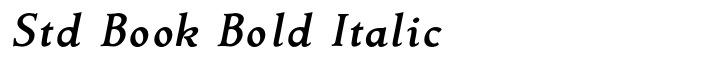 Contenu Std Book Bold Italic