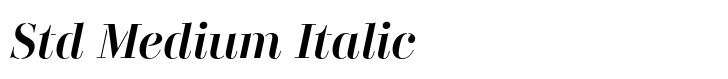 Didonesque Stencil Std Medium Italic
