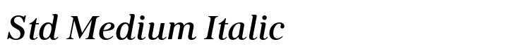 Kostic Serif Std Medium Italic