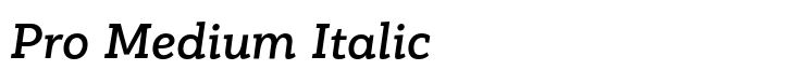 PF Bague Slab Pro Pro Medium Italic