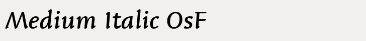 Linotype Syntax Letter Medium Italic OsF