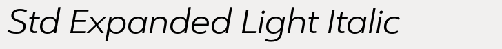 URW Form Std Expanded Light Italic
