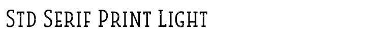 Look Std Serif Print Light