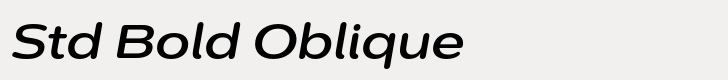 Montag Std Bold Oblique