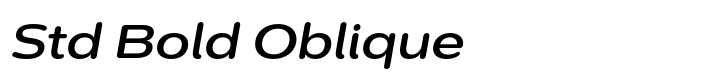 Montag Std Bold Oblique