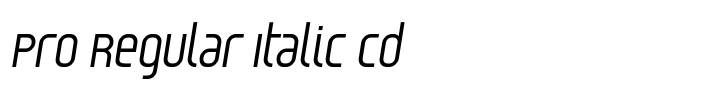 Reflex Pro Regular Italic Cd
