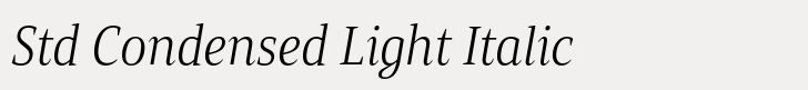 Mandrel Std Condensed Light Italic