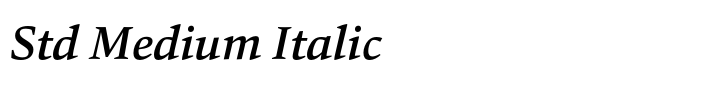 Carat Std Medium Italic