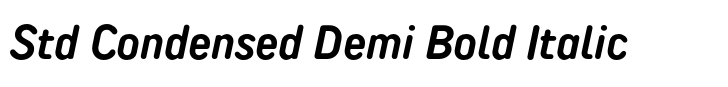 TT Rounds Neue Std Condensed Demi Bold Italic