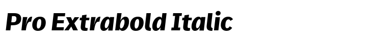 FF Real Text Pro Extrabold Italic