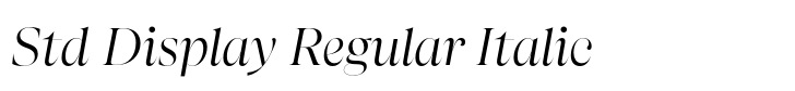 Apparel Std Display Regular Italic