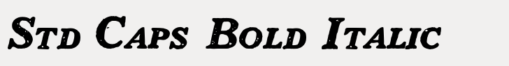 1906 French News Std Caps Bold Italic