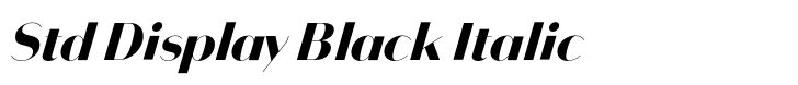 Bodoni Sans Std Display Black Italic