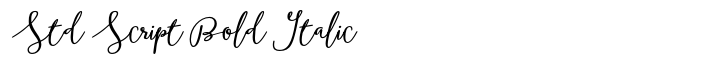 Boho Std Script Bold Italic