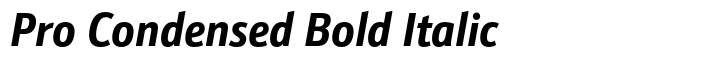 Schnebel Sans Pro Pro Condensed Bold Italic