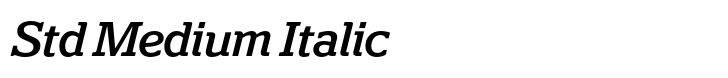 Polyphonic Std Medium Italic