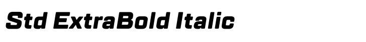 TT Lakes Std ExtraBold Italic