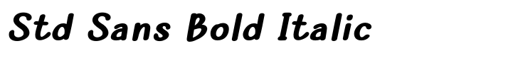 The Rambutan Std Sans Bold Italic