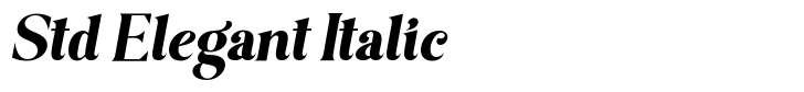 Bagilean Geliayditan Std Elegant Italic