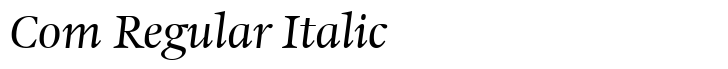 Hollander Com Regular Italic