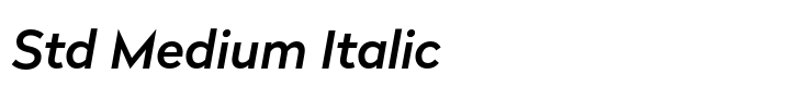 Radikal Std Medium Italic